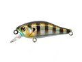 Pontoon21 Cheerful 60SP SR 007 Crash HG Gill