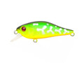 Pontoon21 Cheerful 60SP SR 070 Fire Tiger