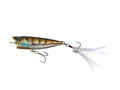 EVERGREEN One's Bug #50 Baby Gill