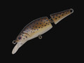 ANGLERS REPUBLIC PALMS Beatrice 45S #SL-47 Dojo