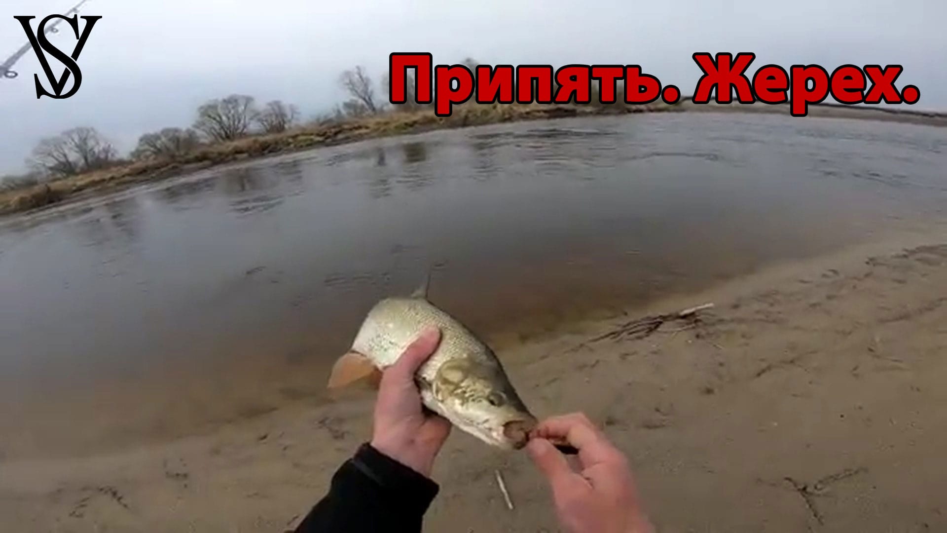 Жерех. Ловим легко.