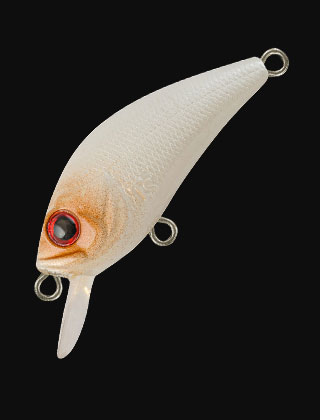 category