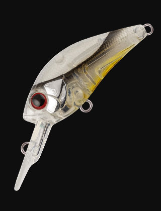 category
