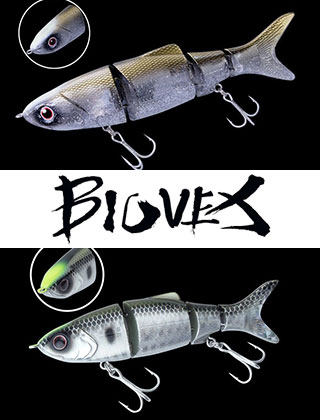 category