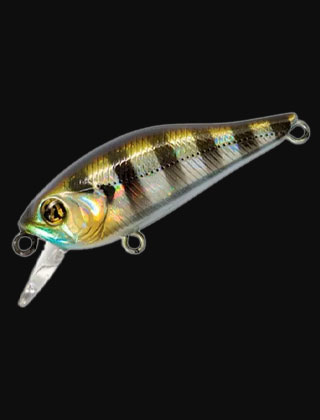 category