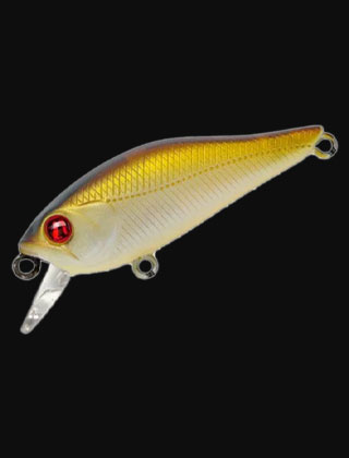 category