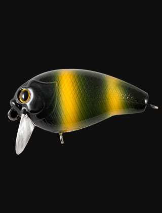 category