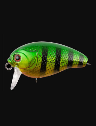 category