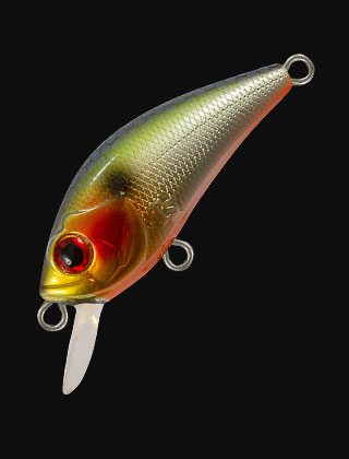 category