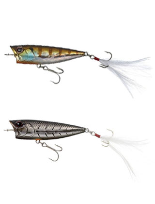 category